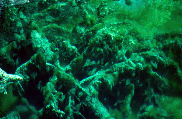 D3_Untitled_002
