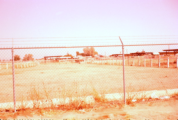 D3_Untitled_007