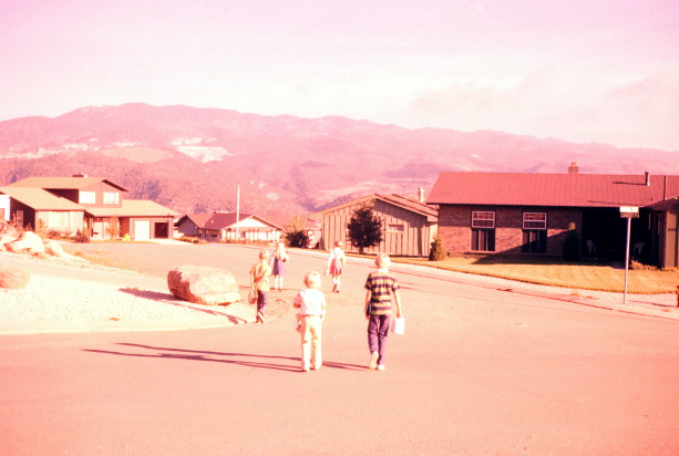 D3_Untitled_012