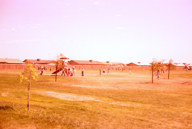 D6_Untitled_001