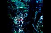 D2_Untitled_001