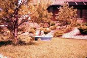 D2_Untitled_014