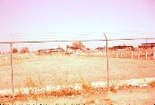 D3_Untitled_007