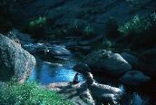D5_Untitled_007
