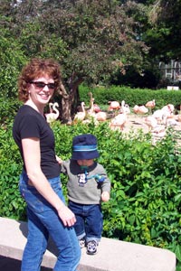 Mom, Max & Flamingos
