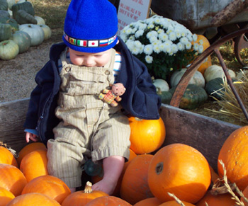 Max contemplates an orange world